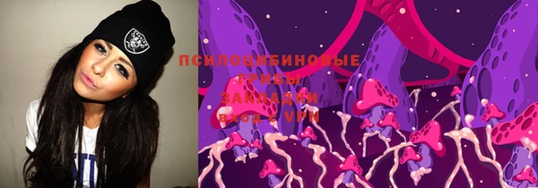 apvp Арсеньев