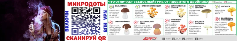 дарнет шоп  Армянск  Псилоцибиновые грибы Cubensis 